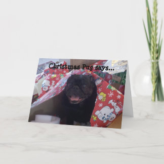 Christmas Pug Christmas Kaart
