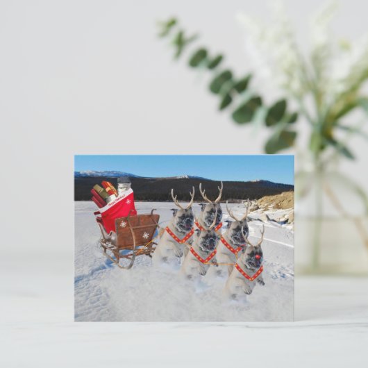 Christmas Pug Dogs Trekken een Sleigh Feestdagenkaart (Staand voorkant)