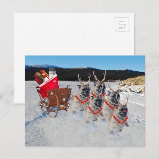 Christmas Pug Dogs Trekken een Sleigh Feestdagenkaart (Voorkant / Achterkant)
