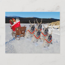 Christmas Pug Dogs Trekken een Sleigh Feestdagenkaart