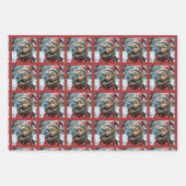 Christmas puppies, raccoon, Elf Inpakpapier Vel (Voorkant 2)