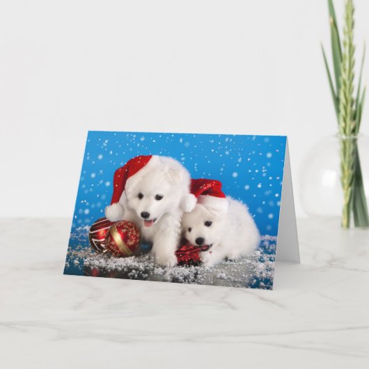 Christmas Puppies White Pomeranian Spitz Feestdagen Kaart (Voorkant)