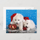 Christmas Puppies White Pomeranian Spitz Feestdagenkaart (Voorkant / Achterkant)