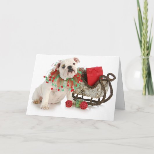 Christmas Puppy - Engelse Bulldog Puppy Zitten Feestdagen Kaart (Voorkant)