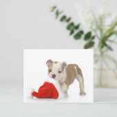 Christmas Puppy - English Bulldog Puppy Feestdagenkaart (Staand voorkant)