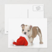 Christmas Puppy - English Bulldog Puppy Feestdagenkaart (Voorkant / Achterkant)