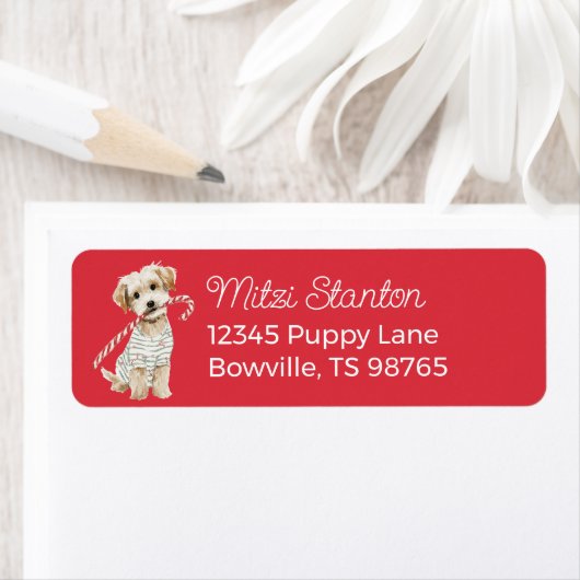 Christmas Puppy in a Scarf address label (Insitu)