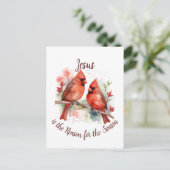 Christmas Red Cardinal Jesus Reason for Season Briefkaart (Staand voorkant)