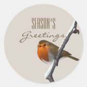 Christmas Robin Bird Season's Groeten Sticker (Voorkant)