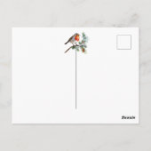 Christmas Robin Pine Baubles Briefkaart (Achterkant)