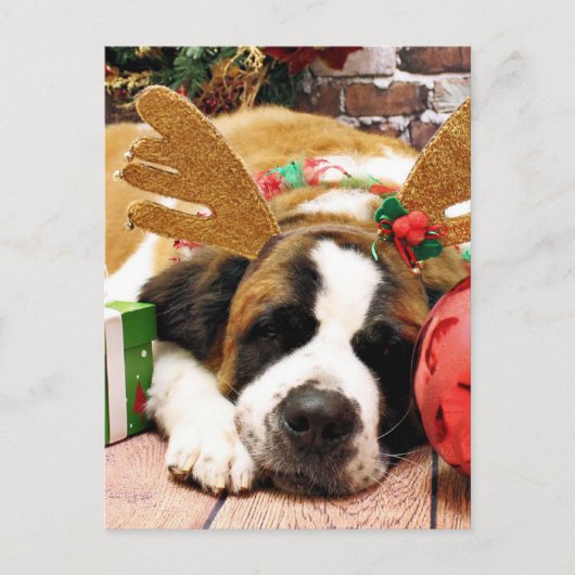 Christmas - Saint Bernard - Blue Feestdagenkaart (Voorkant)