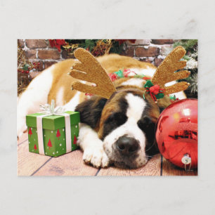 Christmas - Saint Bernard - Blue Feestdagenkaart