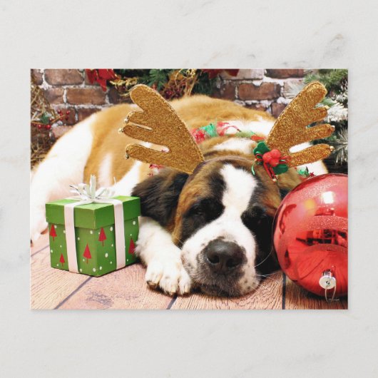 Christmas - Saint Bernard - Blue Feestdagenkaart (Voorkant)