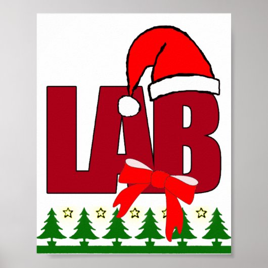 CHRISTMAS SANTA LABORATORY POSTER (Voorkant)
