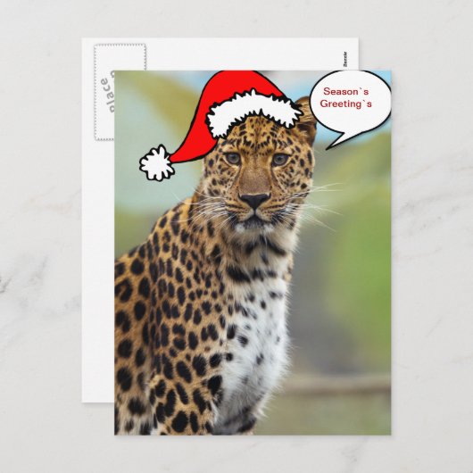 Christmas Santa leopard postcard 2 Feestdagenkaart (Voorkant / Achterkant)