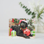 Christmas - Schnoodle - Zeus Feestdagenkaart (Staand voorkant)