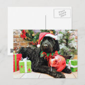 Christmas - Schnoodle - Zeus Feestdagenkaart (Voorkant / Achterkant)