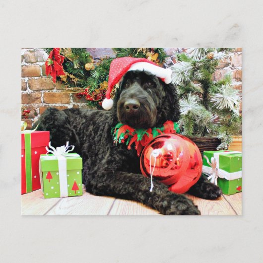 Christmas - Schnoodle - Zeus Feestdagenkaart (Voorkant)