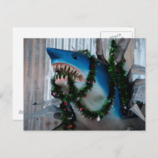 Christmas Shark briefkaart (Voorkant / Achterkant)