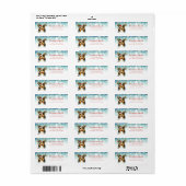 Christmas Shetland Sheepdog Retour Adreslabels Etiket (Full Sheet)