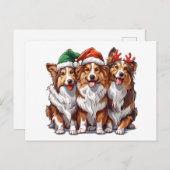Christmas Shetland Sheepdogs Briefkaart (Voorkant / Achterkant)