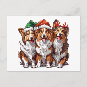 Christmas Shetland Sheepdogs Briefkaart