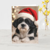 Christmas Shih Tzu Dog With Santa Hat Kaart (Gele Bloem)