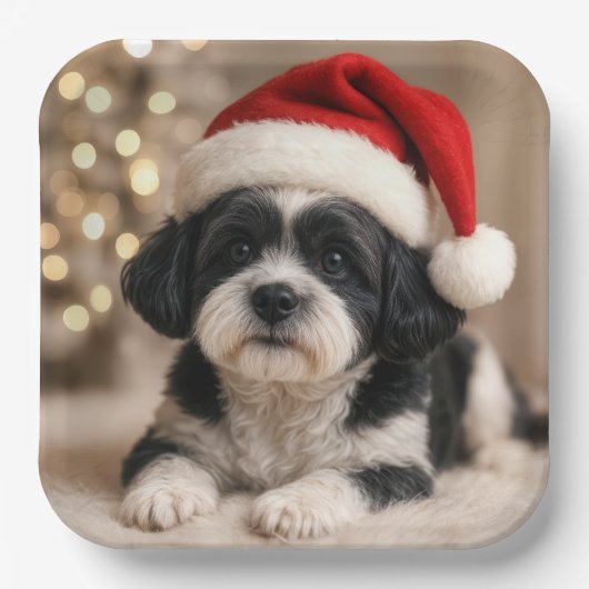 Christmas Shih Tzu Dog With Santa Hat Papieren Bordje (Voorkant)