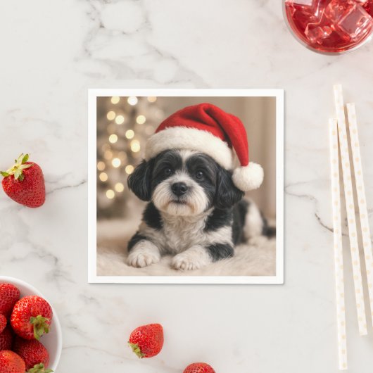 Christmas Shih Tzu Dog With Santa Hat Servet (Insitu)
