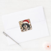 Christmas Shih Tzu Dog With Santa Hat Vierkante Sticker (Envelop)