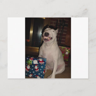 Christmas Smile Bull Terriër Feestdagenkaart