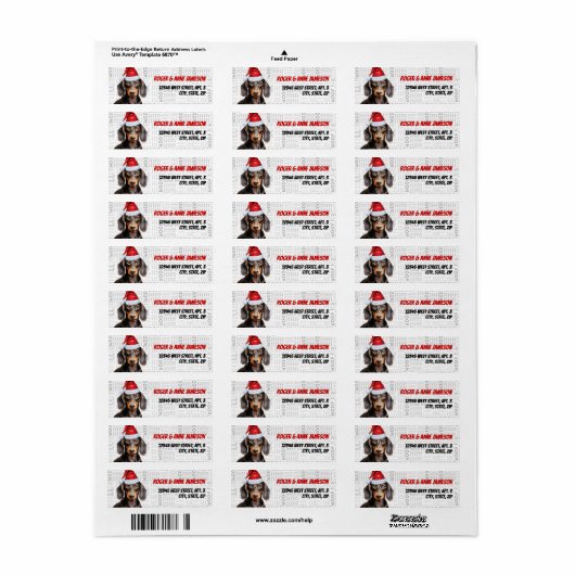 Christmas Smooth Coat Teckel Hondenliefhebber Adre Etiket (Full Sheet)