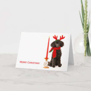 Christmas Speelgoed Poedel Dog Feestdagen Kaart