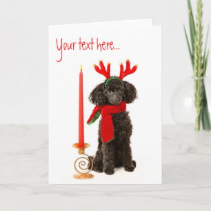Christmas Speelgoed Poedel Dog Feestdagen Kaart