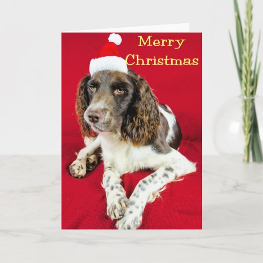 Christmas Springer Feestdagen Kaart (Voorkant)