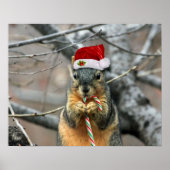 Christmas Squirrel Poster (Voorkant)