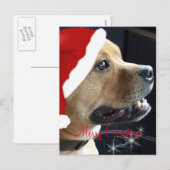 Christmas Staffordshire Bull Terrier Feestdagenkaart (Voorkant / Achterkant)