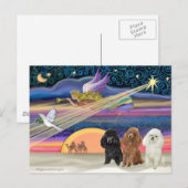Christmas Star - Poodles (three Toy) - Feestdagenkaart (Voorkant / Achterkant)