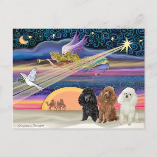 Christmas Star - Poodles (three Toy) - Feestdagenkaart (Voorkant)