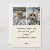 Christmas Stocking Christmas Photo Card Feestdagenkaart (Achterkant)