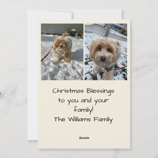 Christmas Stocking Christmas Photo Card Feestdagenkaart (Achterkant)