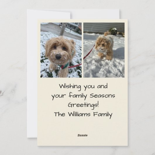 Christmas Stocking Seasons Greetings Photo Card Feestdagenkaart (Achterkant)