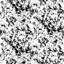 Christmas | Thanksgiving | Familie Shirten & gesch Kaart