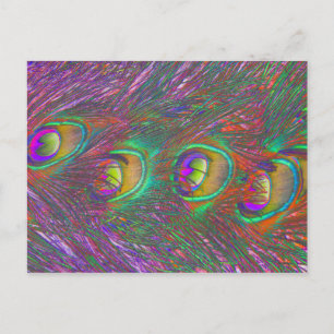 Christmas Tinsel Peacock Feathers Briefkaart