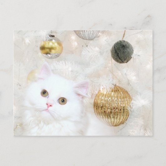 Christmas tree and kitty cat match feestdagenkaart (Voorkant)