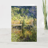 Christmas tree holiday greeting card kaart (Voorkant)