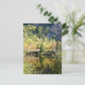 Christmas Tree holiday postcard Feestdagenkaart (Staand voorkant)