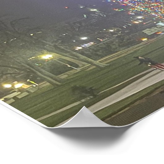 Christmas Tree US Capitol Washington DC Poster (Hoek)