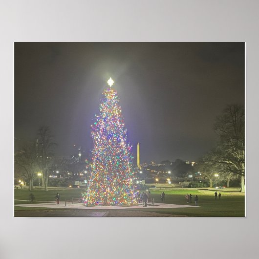 Christmas Tree US Capitol Washington DC Poster (Voorkant)