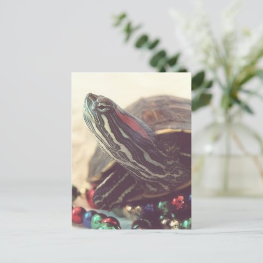 Christmas Turtle Briefkaart (Staand voorkant)